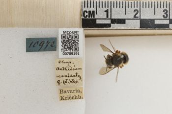 Media type: image;   Entomology 789191 Aspect: Labels